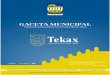 Gaceta Municipal Tekaxtekax.gob.mx/assets/gaceta/abr-20.pdf · GACETA MUNICIPAL (')rgano oficial de publicación del municipio de Tekax NÚMERO Tekax Ayuntamiento 2018 • 2021 Fecha