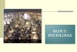 SOCIOLOGIA BLOC I - XTEC · Treball cooperatiu de sociologia • Formar grups de 2 -3 persones • Escollir un tema d'interès amb dimensió sociològica • Fer una investigació