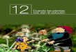 12 nos dan la soluciónazudriolobos.com/activos/texto/azud_noticia_0017_0117.pdf · 2013. 2. 22. · En una conversación en torno a las potencialidades de la vegetación con un abue-lo