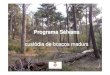 custòdia de boscos madursMarcMari_2.pdf · 2014. 1. 10. · 25 anys. Creació d’instrument per renovar-ne la compensació. • 58 reserves forestals (713,3 ha): 30 en boscos comunals