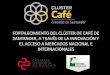 Presentación de PowerPoint - Santander Innova€¦ · BAJA MEDIA ALTA Mercado por Certificación Nicho de mercado DIFERENCIACIÓN Mercado S Y Commodity S L Café especial diferenciado
