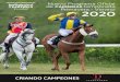 NUEVO · Hipódromo de La Zarzuela, S.A., S.M.E. Programa de Carreras primavera-verano covid-19 2020 11 Premio 7. HÁNDICAP OPCIONAL (CATEGORÍA C) 20.400 €: 12.000 € al primero,