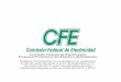 Comisión Federal de Electricidad - Portal CFE · 2020. 7. 28. · Electricidad, Empresa Productiva del Estado y a sus subsidiarias (en lo sucesivo “La Empresa” o “CFE”)