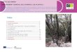 Índexeforown.ctfc.cat/pdf/8a_LA VIDA DELS ARBRES.FUNCIO DE... · 2019. 9. 25. · Funcions vitals dels arbres i les plantes El Regne de les Metàfites, vegetal o de las plantes està