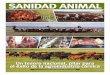 SANIDAD ANIMAL - Amazon S3 · En 2011 seo btuvo elc ertificado para peste equina. Entonces, que - daban tres enfermedades más: la peste de los pequeños rumiantes, perineumonía
