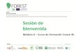 Presentación de PowerPoint³dulo 0 - Sesión... · bienvenida ¡BIENVENIDOS! “Bosques saludables, beneficios para todos” ¿Como surgió el proyecto? Mejorar las prioridades básicas