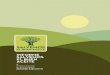 INFORME SALVEMOS EL BUEN - altiplanogranada.orgaltiplanogranada.org/wp-content/uploads/2018/11/O... · de olivar productivo, el 91,45 % dedicadas a la obtención de aceite de oliva