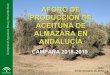 Presentación de PowerPoint · También afectará positivamente el incremento del olivar de regadío y la entrada en producción de las nuevas plantaciones. AFORO DE PRODUCCIÓN