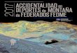 ESTUDIO ACCIDENTALIDAD FEDME€¦ · de montaña en España” en 2016 y Sergio Villota este mismo 2017 “Accidentabilidad en montaña. Estadísticas de rescates en España y campañas