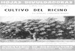 CULTIVO DEL RICINO · 2006. 10. 25. · Yei-u para e^-it