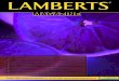 En este número - Lamberts Españolalambertsusa.com/wp-content/uploads/2015/09/... · Preguntas y crucigrama de LAMBERTS. 20 Mapa de la distribución de los ... Piensa en ellos como