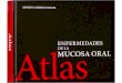 Pasar la pagina Atlas 1odermatol.com/odermatology/Atlas.pdf · Tumores benignos de tejidos blandos. Tumores malignos de tejidos blandos. ... úlcera y erosión Fisura, perforación