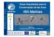Áreas Importantes para la Conservación de las Aves: IBA ...€¦ · Conservación de las Aves: ... →Inventario de IBA marinas en España y Portugal →Implantación de la Red