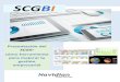 SCGBI - gl7.net · Presentación del SCGBI cómo herramienta para mejorar la gestión empresarial . que unas empresas estén mejor gestionadas que otras?info@navidian.com 2 Enton