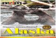 Revista digital de pesca con mosca Distribución gratuitamagazine-digital.org/archives/alaska2015.pdf · tos no tenían en stock el producto promo-cionado por Internet, por lo que