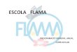 ESCOLA FLAMA - XTEC...actuals de treball i sobre el treball del llibret de Sant Jordi. 2. Implementació d’un treball per projectes a l’àmbit de medi de cicle superior. Supresió