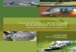 Fauna acuática amenazadariver-dolphins.com/wp-content/uploads/2019/01/fauna...delfín rosado (Inia geoffrensis geoffrensis) y el delfín gris ó tucuxi (Sotalia fluviatilis), parte
