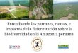 Entendiendo(lospatrones,(causas,(e( impactosde(la ...infobosques.com/portal/wp-content/uploads/2017/03/presentacion_a… · 'Sociedad Peruana de£codesarrollo . terra-i An eye on
