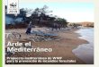 Arde el Mediterráneo...WWF España 2019 Arde el Mediterráneo Página 1Los países de la cuenca mediterránea se enfrentan a la misma emergencia relacionada con los incendios forestales
