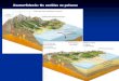 Xeomorfoloxía: Os cambios na paisaxeXeomorfoloxía: Os cambios na paisaxe Xeomorfoloxía: Erosión física A Auga acumúlase nas fendas das rochas Conxélase e aumenta de volume