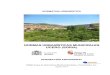 NORMAS URBANÍSTICAS MUNICIPALES UCERO (SORIA)alternativasgama.com/urbanismo/numucero/Documentos... · 2010. 10. 4. · Ordenación del Territorio de Castilla y León (DOTCyL). -