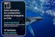 Ruido Submarino: Una problemática ambiental emergente en Chile · Una problemática ambiental emergente en Chile Camilo Padilla Reinoso Departamento Ruido, Lumínica y Olores División