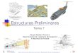 Tema 07 - Estructuras Preliminares · Cálculo de Aeronaves y Sistemas de Aeronaves © Sergio Esteban Roncero, sesteban@us.es 1 Estructuras Preliminares Sergio Esteban Roncero Departamento