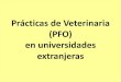 Prácticas de Veterinaria (PFO) en universidades extranjerasdcii.usal.edu.ar/archivos/dcii/imagenes/presentacion... · 2019. 10. 18. · 1- Asignaturas prácticas: Períodos de estancia