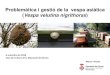 Problemàtica i gestió de la vespa asiàtica Vespa velutina … · • País Basc: Manual para la gestión del avispón asiático (2016). • Catalunya: Protool d’atuaions que