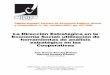 La Dirección Estratégica en la Economía Social ...ciriec-revistaeconomia.es/wp-content/uploads/5909_Sanchis_et_al.pdf · de herramientas de análisis estratégico en las Cooperativas