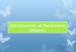 Introducción al Fenómeno Urbano.colegiosantabarbara.cl/wp-content/uploads/2020/03/electi... · 2020. 3. 29. · El Fenómeno Urbano: Aumento demográfico y consumo de recursos