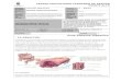 colegiofernandodearagon.cl · Web view2020/07/04  · OA 2 Identificar y describir por medio de modelos las estructuras básicas del sistema digestivo (boca, esófago, estómago,