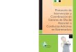 Protocolo de Intervencio?n:Maquetación 1...Protocolo de Intervención y Coordinación en Centros de Día de Atención a Conductas Adictivas en Extremadura PLAN INTEGRAL DE DROGODEPENDENCIA