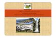 Gobierno de la Provincia de San Luis Ministerio de …...ante el Ministerio de Cultura y Educación de la Nación (2003) BERA – San Luis Proyecto creado por las Bibliotecas de los