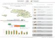 Presentación de PowerPoint - gob.mx · 2018. 9. 4. · Observaciones de la red de trampeo por ruta programado y realizado del Edo. México. 99.35 %de la meta mensual Trampeo Morelos