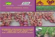 INSTITUTO NACIONAL DE INVESTIGACIÓN Y …repositorio.inia.gob.pe/bitstream/inia/1017/1/Nicho...El cultivo de la cebolla roja representa una alternativa dentro de los cultivos tradicionales