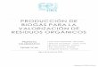 PRODUCCIÓN DE BIOGÁS PARA LAredis.webs.uvigo.es/CTC/Present12CTC/TECNO 19.TC05... · 2019. 7. 4. · 3 una valorización de residuos orgánicos, reduciendo así el impacto contaminante