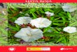 Lista roja de la flora VASCULAR atlas de flora VASCULAR …descargas.grancanaria.com/jardincanario/documentosweb/pdf... · 2015. 12. 21. · Inventario Nacional de Biodiversidad,