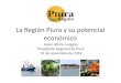 La Región Piura y su potencial económico · 2015. 3. 13. · 03 TARA Huancabamba, Ayabaca y Morropón. 04 FRIJOL CAUPI Morropón, Piura y Sechura. 05 CACAO Ayabaca, Piura, Morropón,