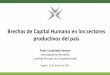 Brechas de Capital Humano en los sectores productivos del país · 2019. 4. 29. · La falta de capital humano pertinente está detrás de la baja productividad. 47% de empresas en