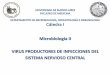 Presentación de PowerPoint · por Chikungunya neonatal: 70% alteraciones en el desarrollo (coordinación, lenguaje, etc) 50% retraso moderado Familia Paramyxoviridae Género Henipavirus