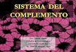 SISTEMA DEL COMPLEMENTO - WordPress.com · 2016. 2. 26. · foco de infección. Neutrofilos, monocitos, M y eosinofilos Activación celular: Producción de citocinas, quimiocinas,