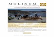 EXPOSICIÓN SOBRE MOLINOS EN MÉJICOmolinosacem.com/wp-content/uploads/2012/05/MOLINUM-N... · 2017. 3. 25. · Muchas, y la respuesta, salvo contadas excepciones, que no llegan a
