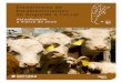 Estadísticas de Establecimientos de Engorde a Corral · 2011. 11. 19. · Área Gestión de Información – Coordinación de Campo – Dirección Nacional de Sanidad Animal Página