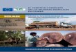 EL COMERCIO CAMBIANTE DE LAS MADERAS ... Summary web [sp].pdfel comercio mundial de productos de madera tropical El valor del comercio mundial de productos de madera tropical aumentó