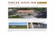 MOLINUMmolinosacem.com/wp-content/uploads/2012/05/24-MOLINUM-n... · 2017. 3. 25. · Gracias a la buena labor del socio Leopoldo Medina del Cerro, se han publicado seis números