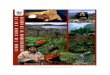 Vision de la Biodiversidad de los Andes del Norte · 2020. 5. 29. · INTRODUCCIÓN AL COMPLEJO ECORREGIONAL DE LOS ANDES DEL NORTE Y A LA CONSERVACIÓN ECORREGIONAL La región andina