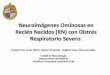 Diapositiva 1manuelosses.cl/BNN/neuroimagenesominosasensdrsevero.pdf · 2011. 4. 17. · En 4/5 RN evolucionaron con lesiones hemorrágicas y en I, en zonas asociadas habitualmente