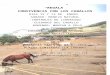 madredelagua.files.wordpress.com€¦  · Web viewconvivencia con los caballos. dias 12 y 13 de enero . sÁbado: manejo natural-controles de liderazgo-cuidados del caballo. domingo: