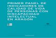PRIMER PANEL DE INDICADORES DE CALIDAD DE VIDA DE …abayanalistas.net/es/wp-content/uploads/informes/calidad... · 2016. 7. 31. · la calidad de vida de las personas con discapacidad